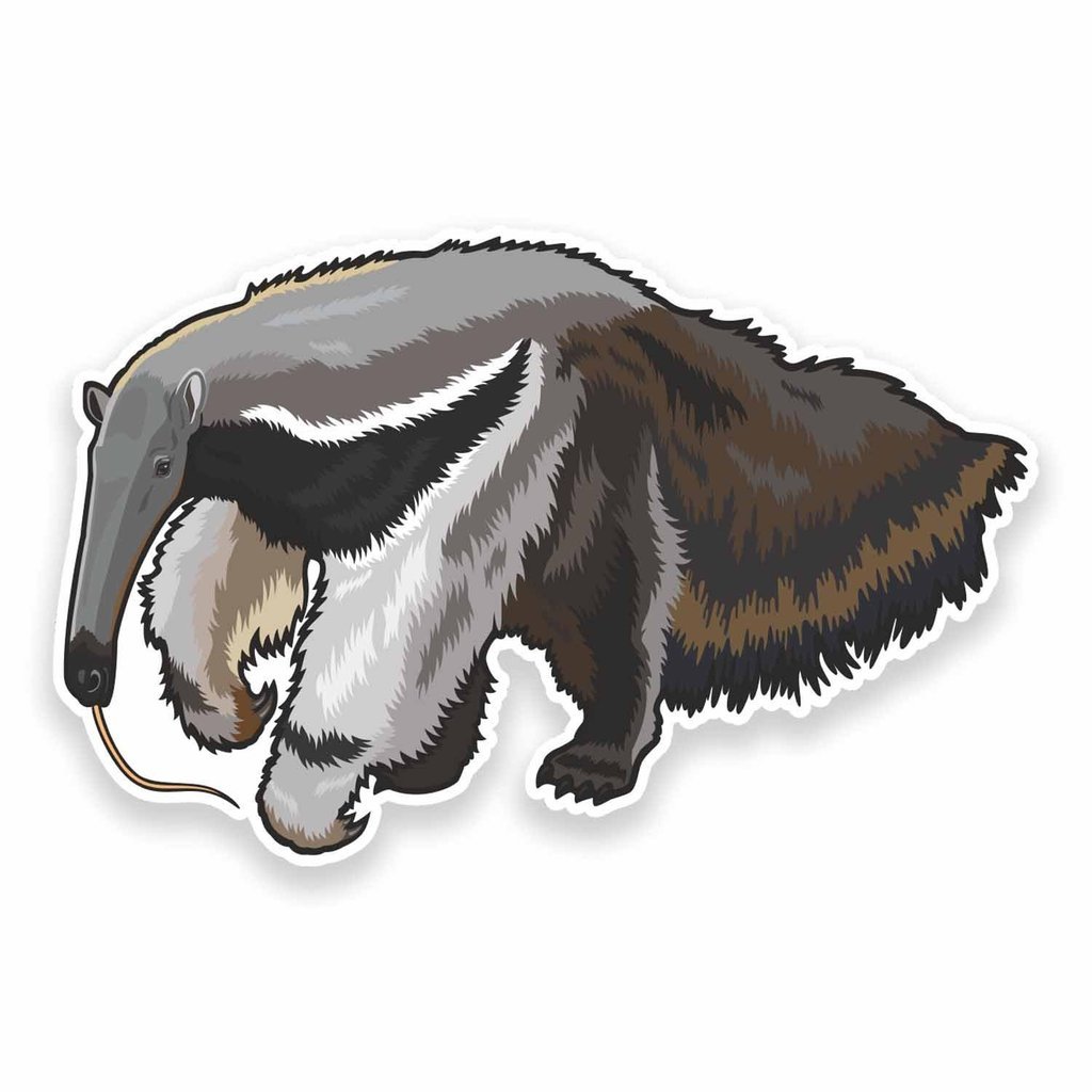 Destinationvinyl Multicolor 2 X 10Cm/100Mm Anteater Ant Eater Vinyl Self Adhesive Sticker Decal Laptop Car Travel Luggage Label Tag #9495