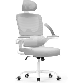 naspaluro B rostuhl Ergonomischer Schreibtischstuhl mit Verstellbarer Kopfst tze Armlehnen Dynamischer Lordosenst tze Office Chair mit Atmungsaktivem Netzbezug f r das Home Office Grau