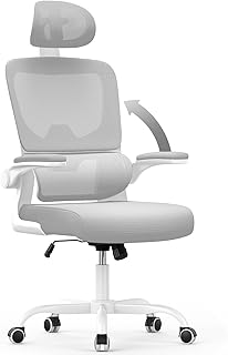 naspaluro Bürostuhl, Ergonomischer Bürostuhl mit Verstellbarer Kopfstütze, Armlehnen, Dynamischer Lordosenstütze, Schreibtischstuhl mit Atmungsaktivem Netzbezug für das Home Office,Upgrade Grau