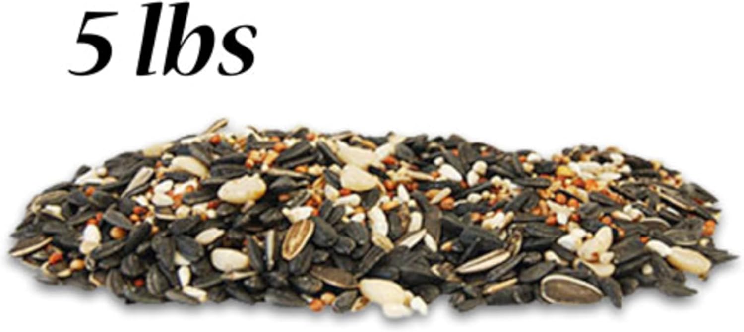 BestNest Mixed Seed Sampler Package, 50 lbs – 5 Varieties of Premium Wild Bird Seed Blends (10 lbs Each) – Sunflower, Millet & Peanut Mixes for Tube, Hopper & Platform Feeders