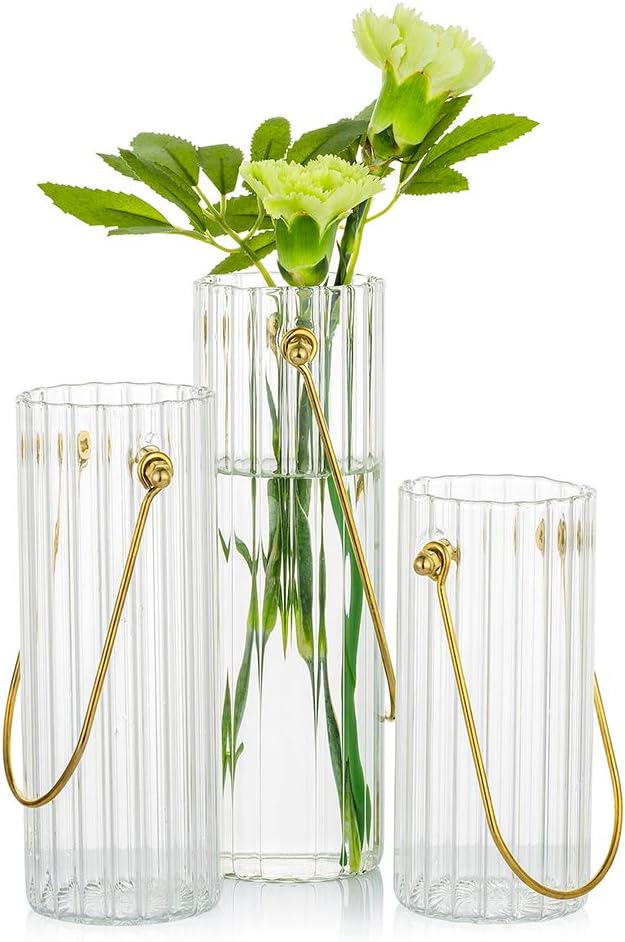 Clear Glass Vase for Flowers With Portable Metal Handle, 3Pcs Tall Flower Vases Modern Bud Vase for Dining Table Living Room Decoration Wedding Centerpieces