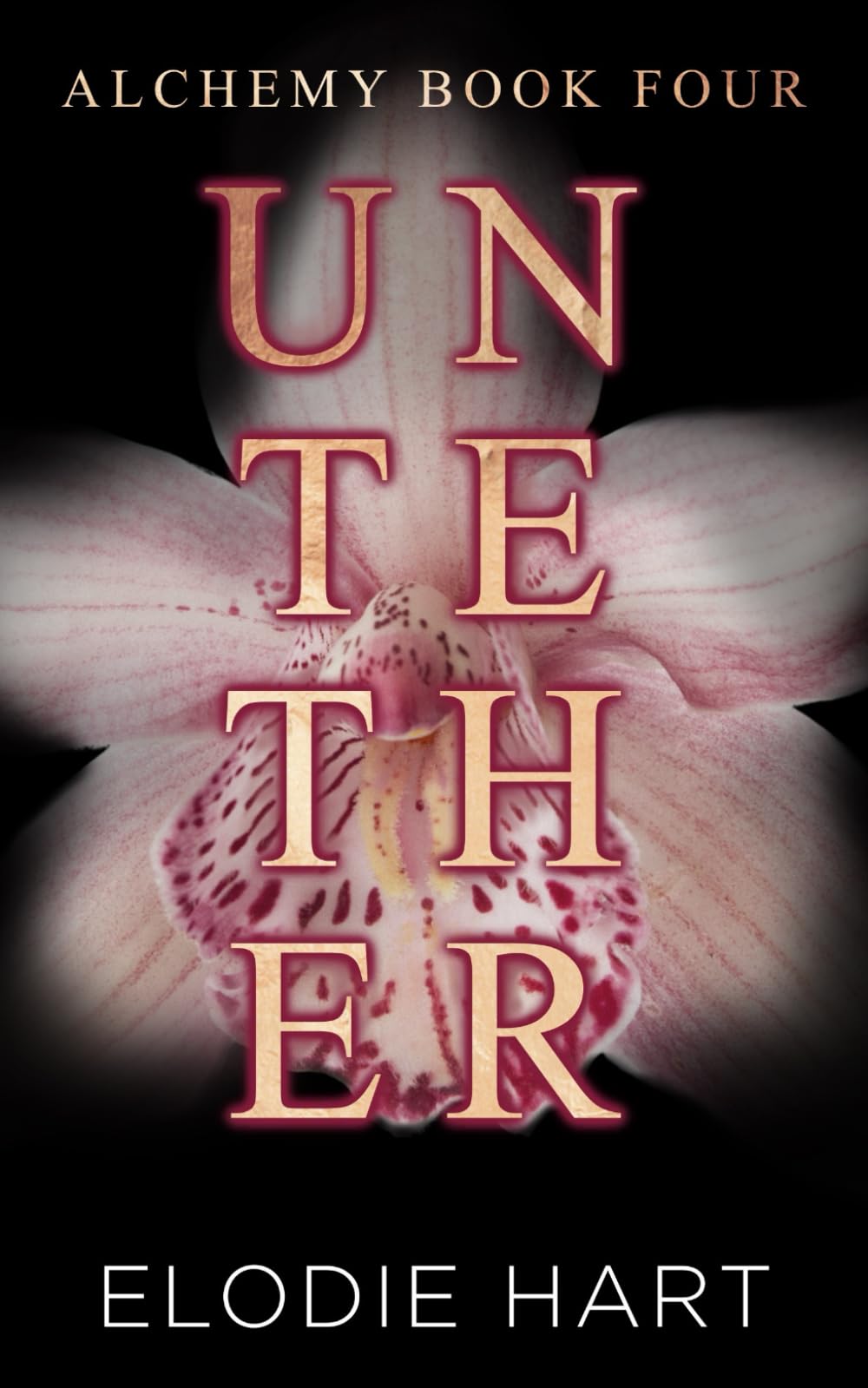 Untether: A Hot Reverse Age Gap Romance (Alchemy)