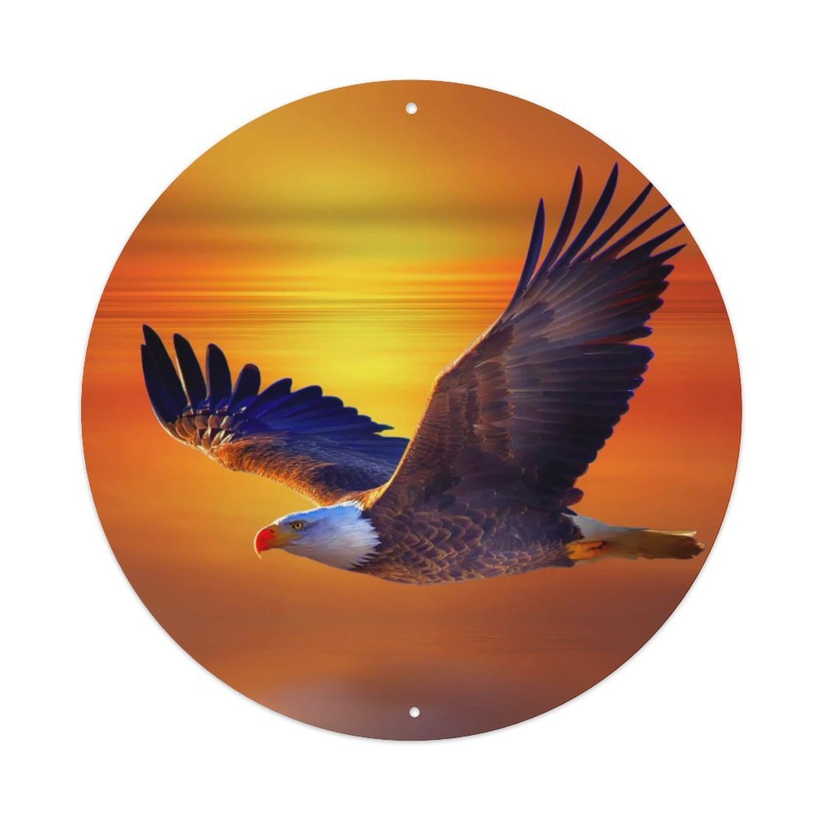 Animal Eagle Soaring in The Sky Metal Tin Sign