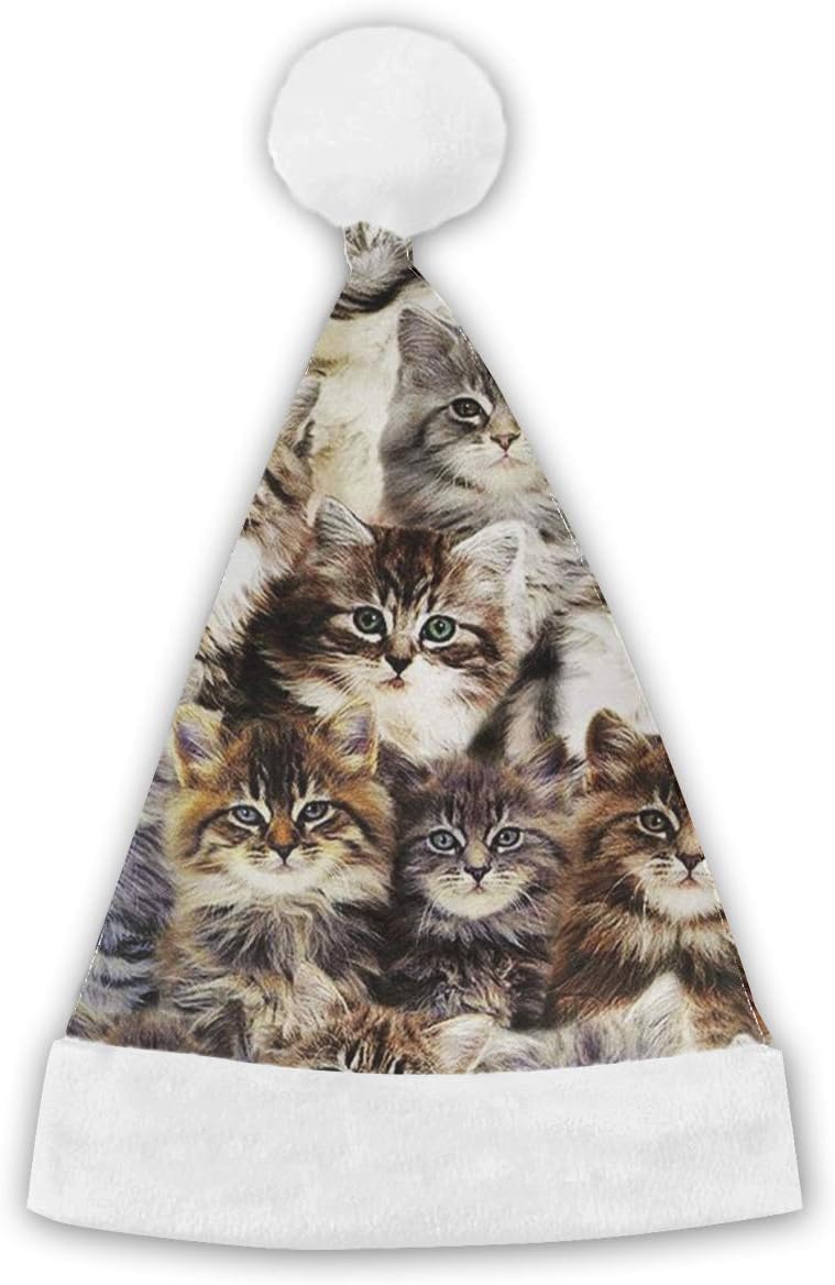 pelliccia amici veri gatti