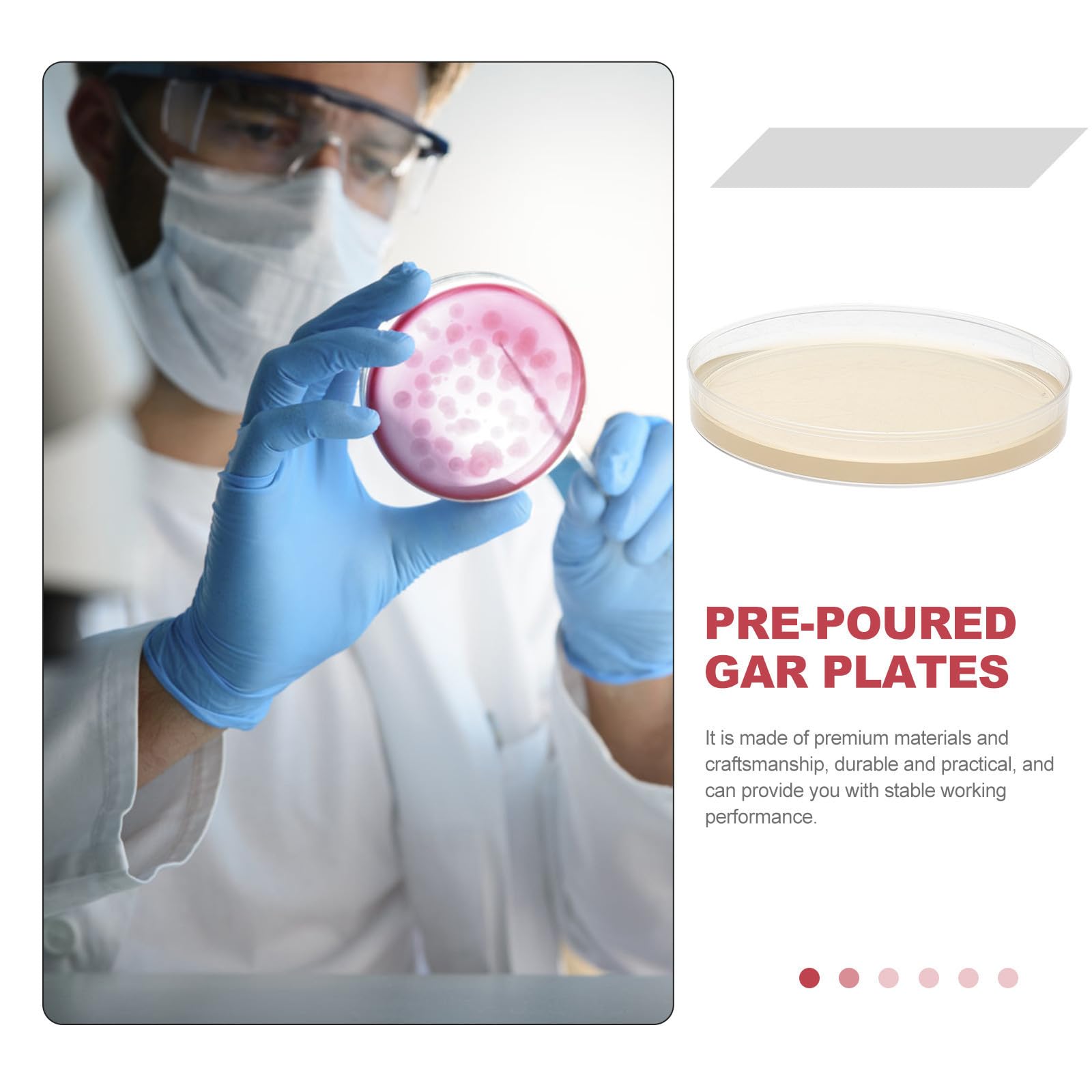 Levemolo Sterile Nähragarplatten 9cm aus Agar und PC Vielseitig für Kulturen 20 Stück für Forschung und Lehre im Laborgebrauch