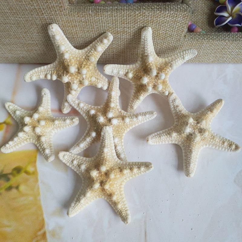 Natural Real Starfish, Starfish Decor, Star Fish Shells Decorations Flat Sea Stars for Beach Crafts, Wedding Ocean Themed Home Accent Decor (20pcs 2-3inch)