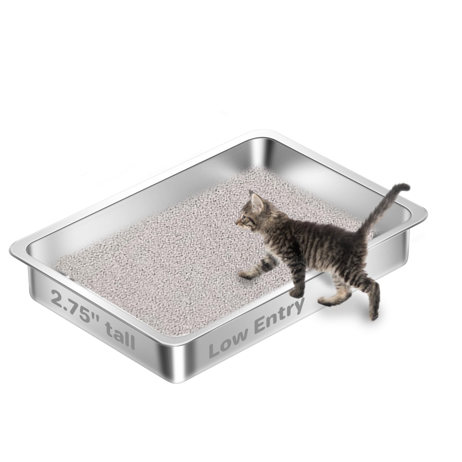 low entry stainless steel litter box for kittens with shallow 2.7 inch sides