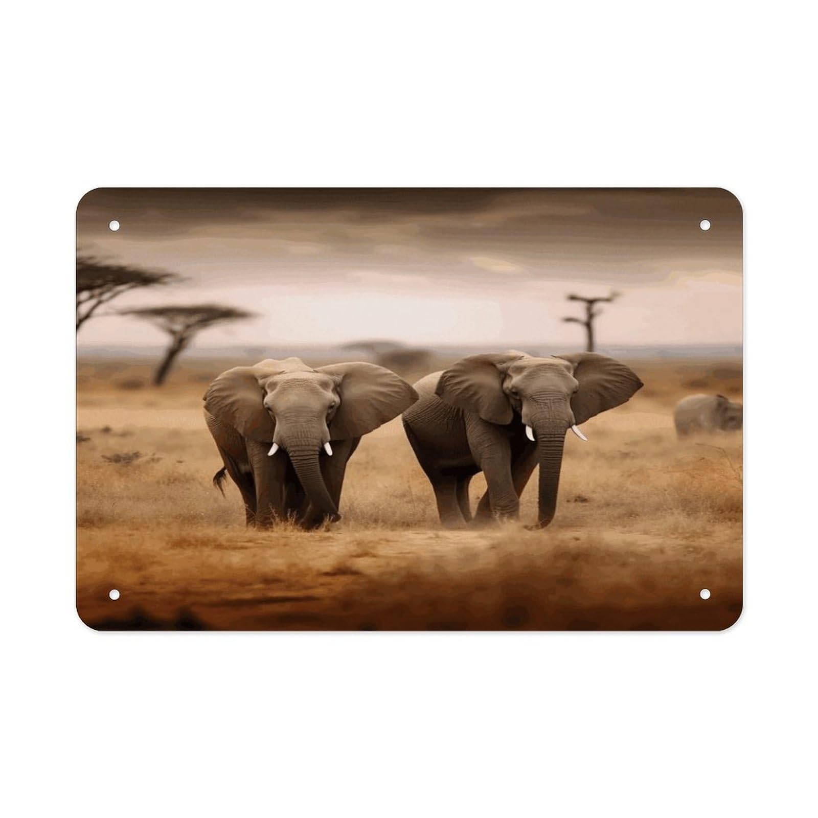 Wild Animals Elephants Metal Tin Sign 12"x8" Wall Art Prints Poster Decorative Picture Metal Signboard Decor Painting Folded Edge Iron Sheet Painting with Holes for Wall Decor