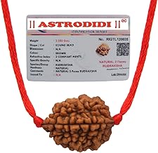 ASTRODIDI Original and Certified 2 Mukhi Rudraksha Bead with Red Thread for Daily Wearing for Men Women Boys and Girls | Natural Two Face Rudraksh Bead | Unisex Design