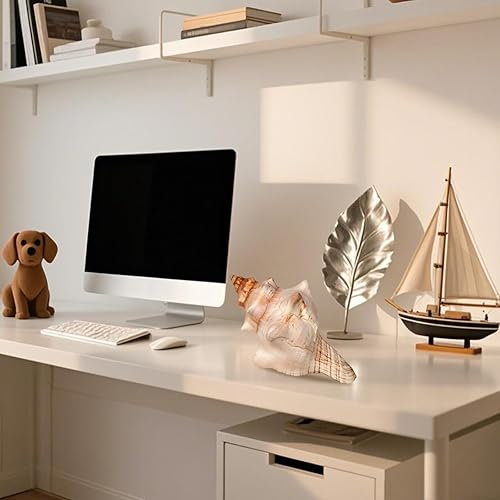 Miniatura 5 de Concha gigante natural de concha, concha de zorro a rayas de 6 a 7 pulgadas, concha de mar grande para relleno de jarrón