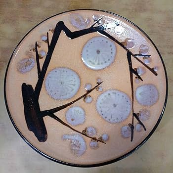 飾皿　大皿　丸皿　梅文　鉄釉　置物　インテリア　工芸品　美術品　A2512 Amazon.co.jp: 共箱入 飾皿 釉彩梅文 八郎作 陶器 梅絵 鈴木八郎