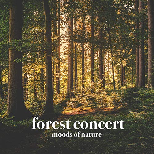 Play Forest Concert by Moods of Nature on Amazon Music