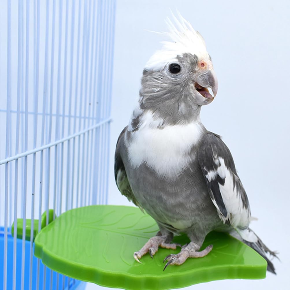 HANABASS 5 Pcs Bird Perch Stand Plastic Bird Stand Green Leaf Shape Bird Platform Bird Accessories Bird Perches for Cage