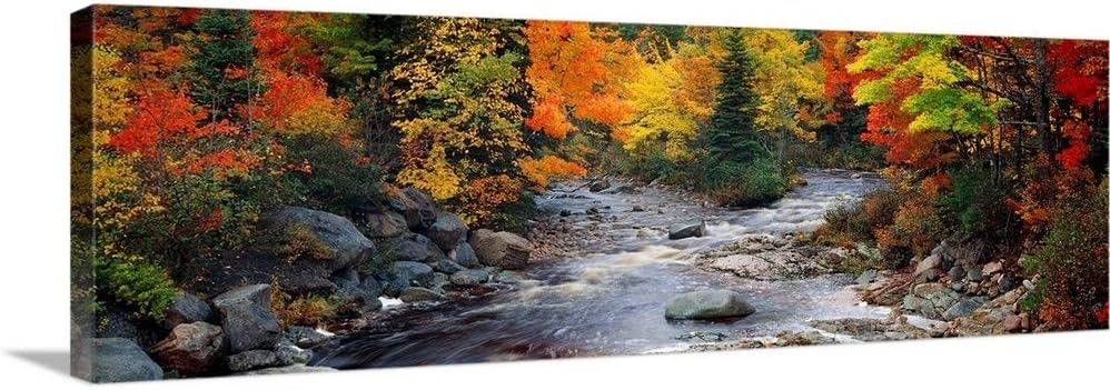 CANVAS ON DEMAND Stream with Trees in a Forest in Autumn, Nova Scotia, Canada Canvas Wall Art Print, Home Decor, Nature Artwork, 60" x20in