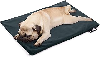 Amazon Co Jp ペット カーペット