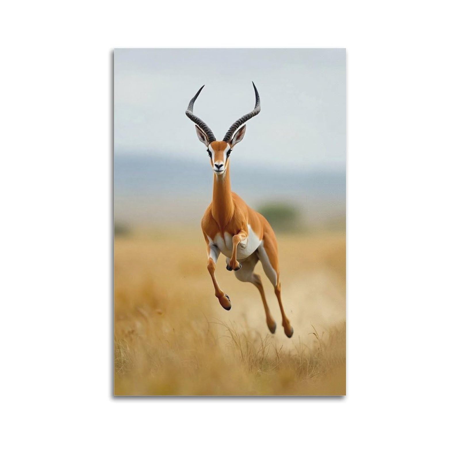 Xkuga Boys Unframe-Style African Wildlife Gazelle Savannah Animal Poster Vintage Modern Decorative Canvas Prints - Ideal Wall Art For Family, Man Cave, Game Room, & Girls Bedroom 24X36inch(60X90cm)