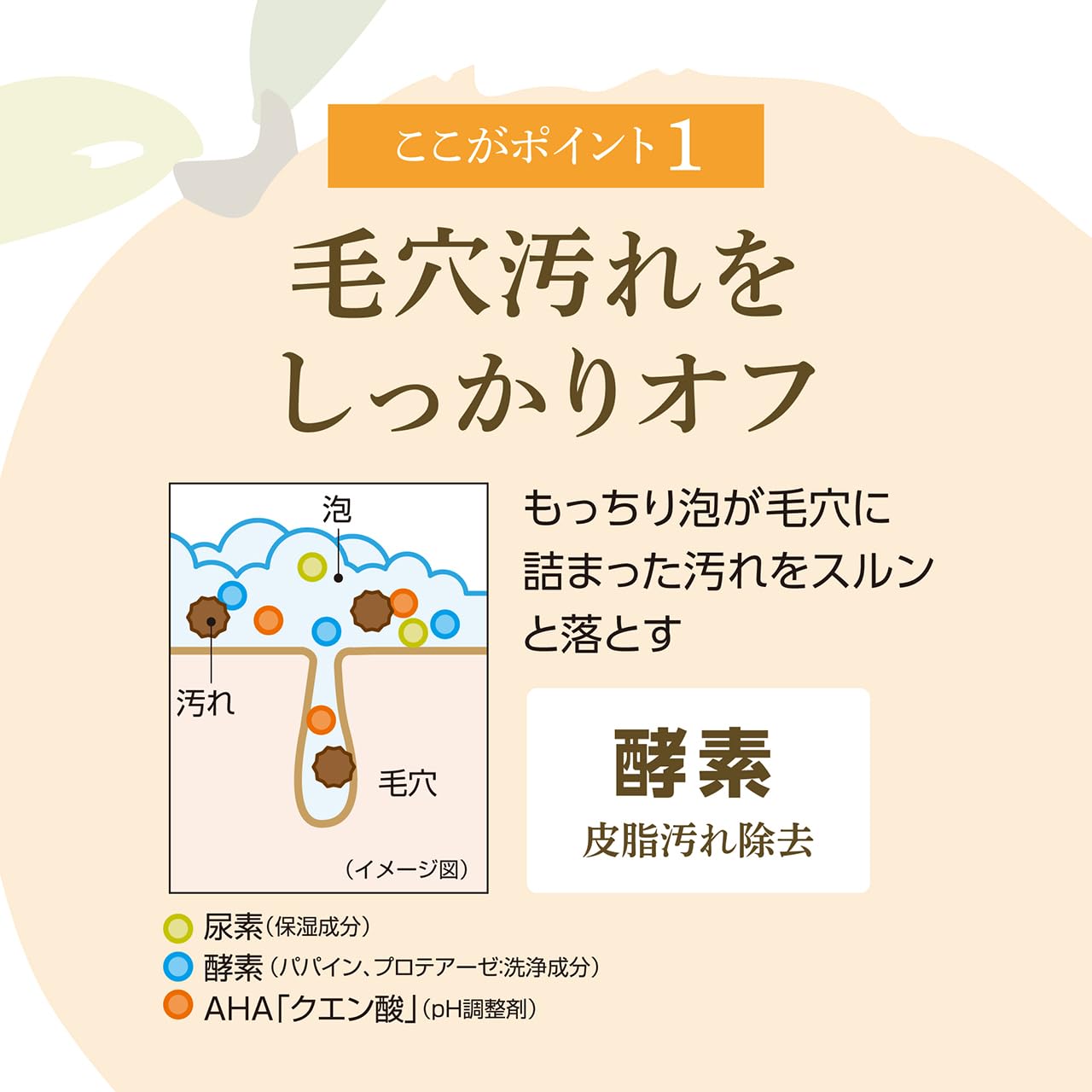 Amazon | クリアウォッシング 角質ケア＆酵素 洗顔料 500ml フレッシュ