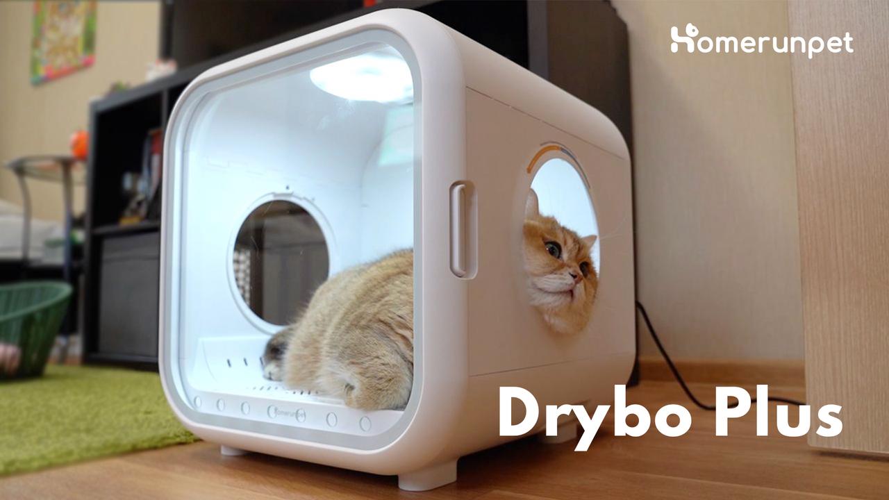 Drybo Plus The Automatic Pet Dryer for Cats and Small Dogs