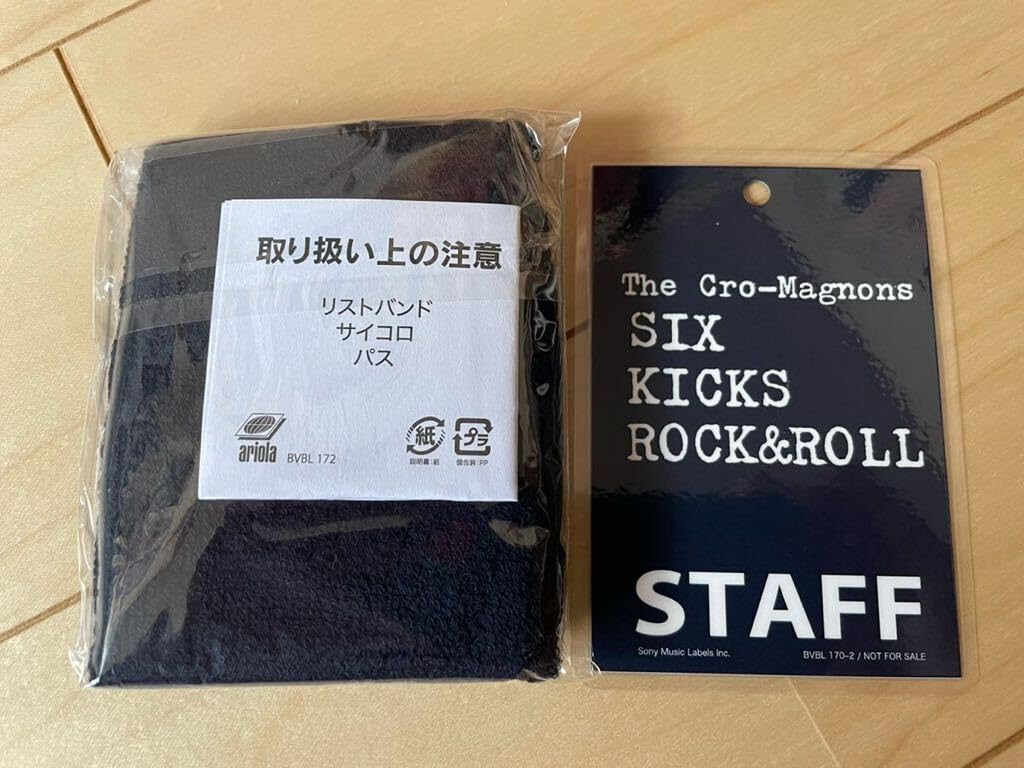 Amazon.co.jp: ザ・クロマニヨンズ リストバンド : おもちゃ