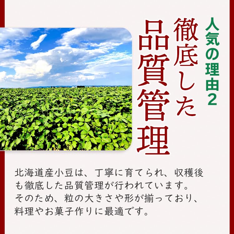 Amazon.co.jp: 北海道産 小豆 (5kg×5袋) 国産 小豆 乾燥豆 赤飯