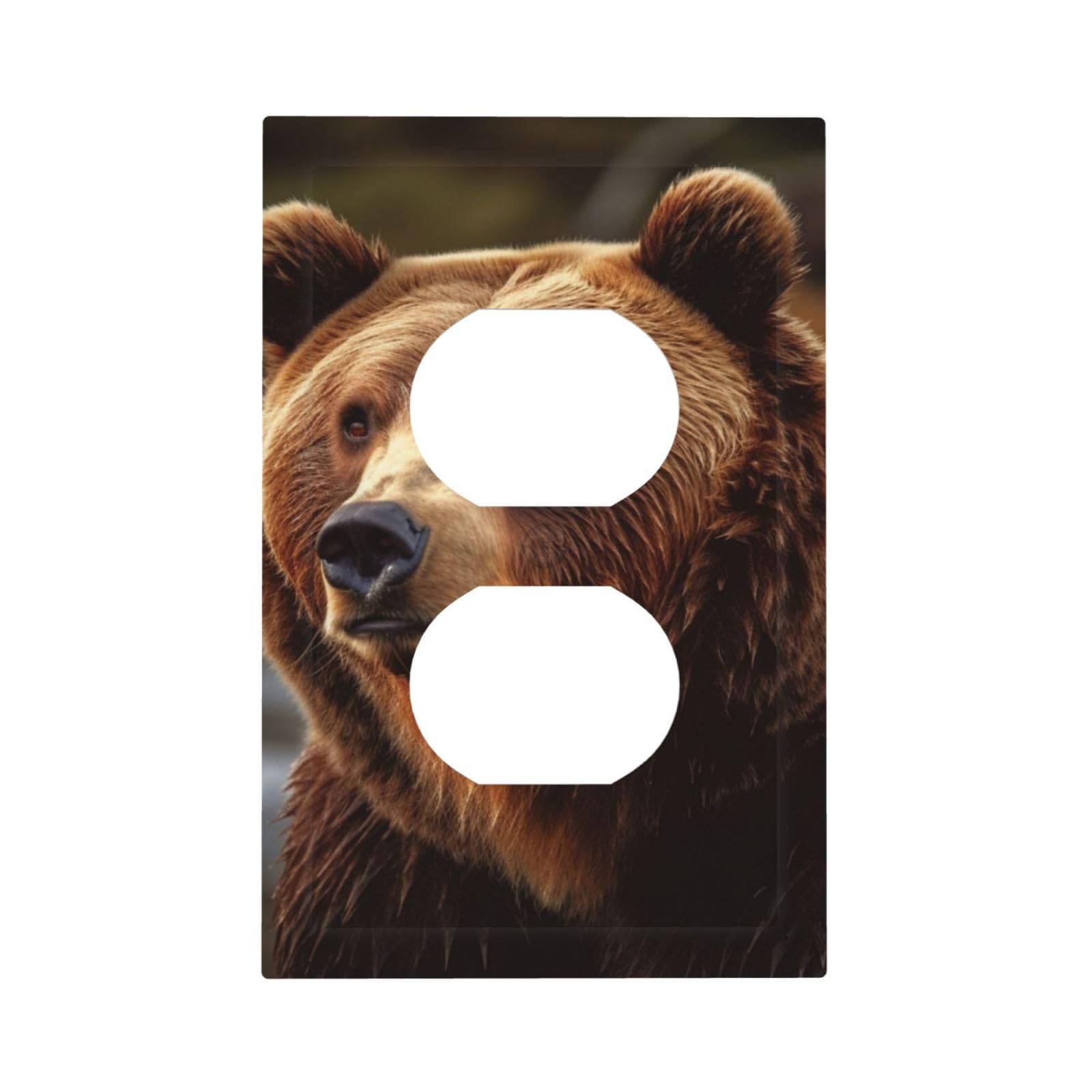 1-Gang Decorator Wall Plate Grizzly Bear Light Switch Cover Single Gang Receptacle Outlet Wall Plate Mid Size 5" x 3" Wallplate Unbreakable Polycarbonate Outlet Faceplates Covers