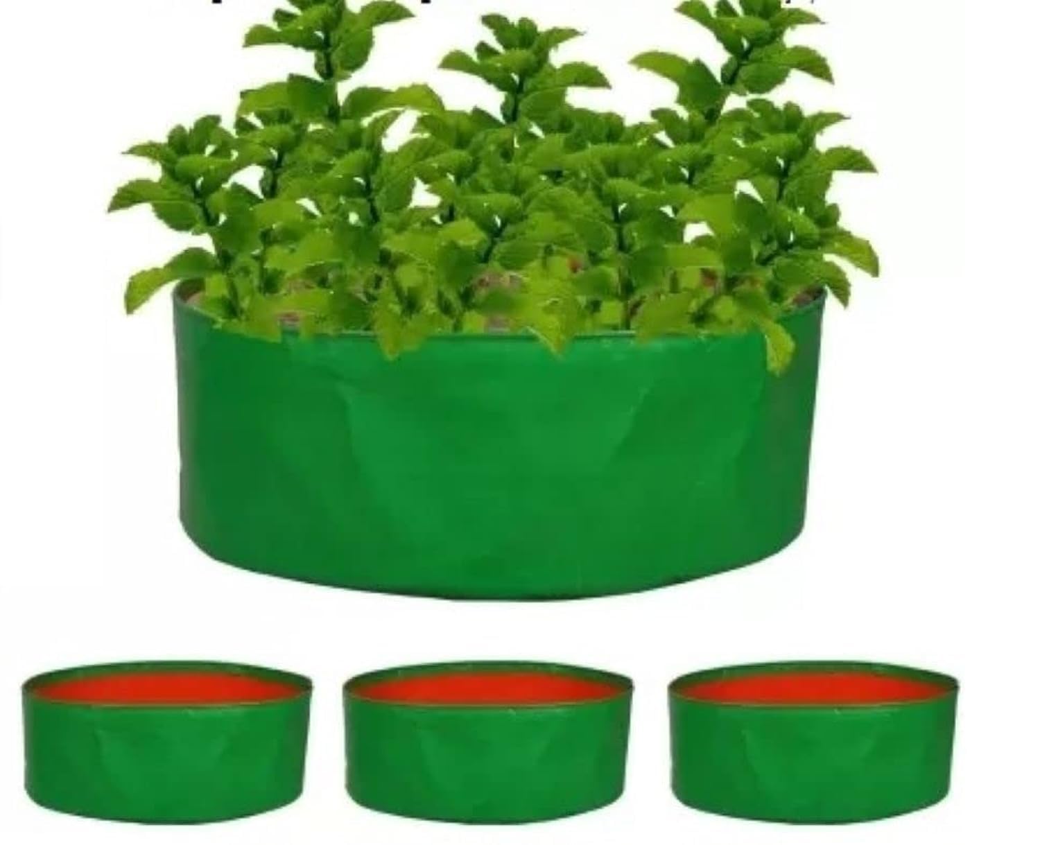 MASHKI® HDPE 18"x6" Spinach Special Terrace Gardening Grow Bag 18"x6" Growbag for Home Gardening (B09Y6BBJFV) Amazon Price History, Amazon Price Tracker
