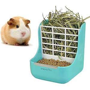2 in 1 Food Hay Feeder for Guinea P...