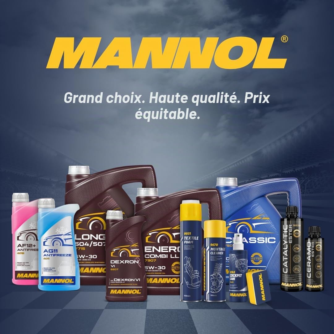 MANNOL Huile moteur Outboard Universal Huile minérale API TC 10 L Compatible avec YAMAHA MOTORCYCLES BWs TZR WHY NEOS JOG