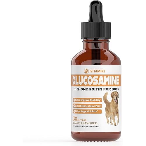Glucosamine for Dogs | Supports Healthy Hips, Joints, & More | Glucosamine for Dogs Hip and Joint Supplement | Dog Glucosamine | Dog Joint Supplement | Glucosamine Chondroitin for Dogs | 1 fl oz