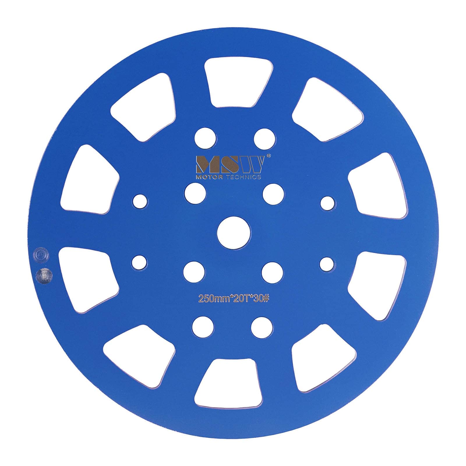 MSW Disque Diamant À Meuler Le Béton Plateau De Surfaçage Diamanté 250 mm Meule Disque À Surfacer MSW-FGGD-2 (Grain 30, ø 250 mm, 20 Segments @ 10 x 10 x 40 mm, Acier & Diamant)