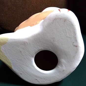 輪葉葉　たいねこ 輪葉葉 わはは工房 福ねこ たい猫 ねこ 招き猫 限定 レア 福来る