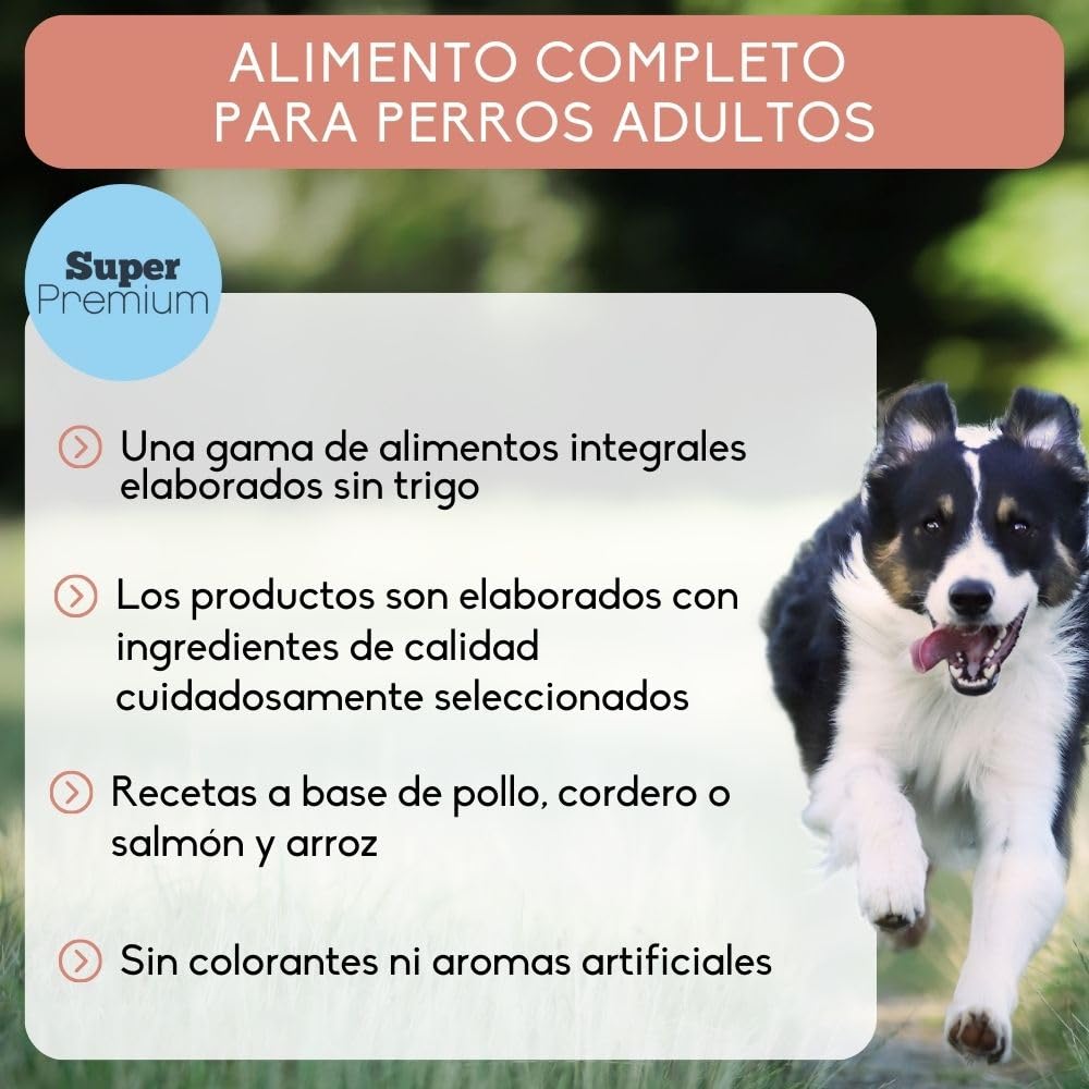 NUTRIVET - Super Premium - Saumon Riz - Croquettes sans Blé - Chien - Riche en Protéines Animales - 15 kg