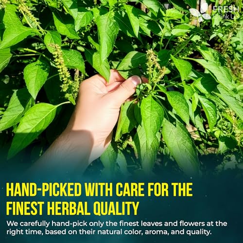 Image of FreshDrinkUS, Tulsi Sleep Tea Bags | 75 Tea Bags | Herbal Blend with Tulsi Holy Basil, Chamomile, Gotu Kola, Ashwagandha & Peppermint | Naturally Caffeine-Free, Relaxing Evening Herbal Tea. Vegan