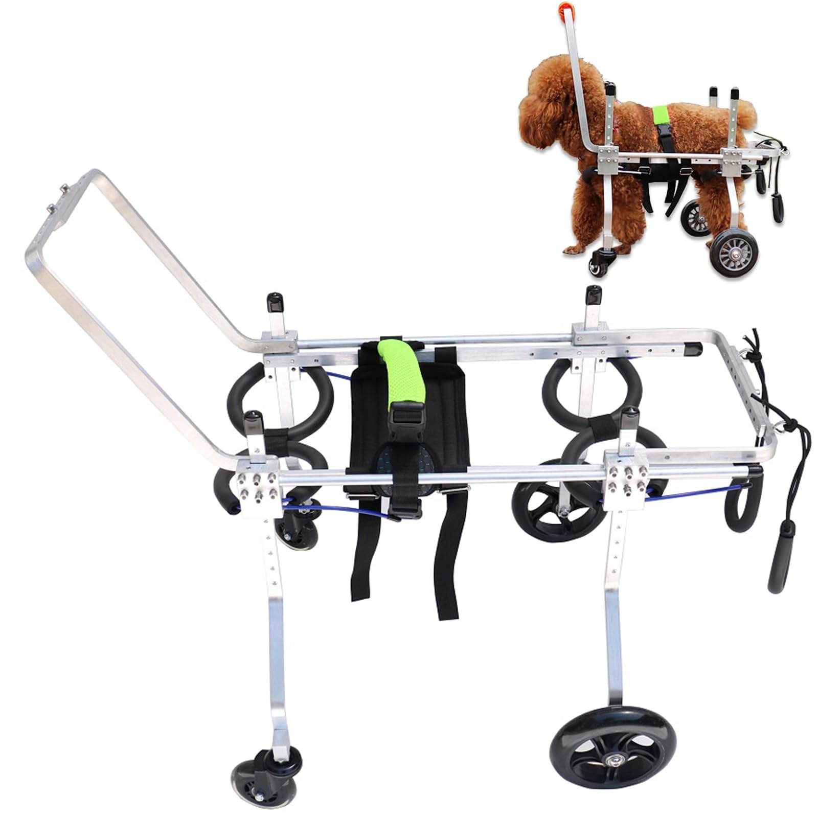 Silla de ruedas para perros con artritis: recupera sus ganas de jugar