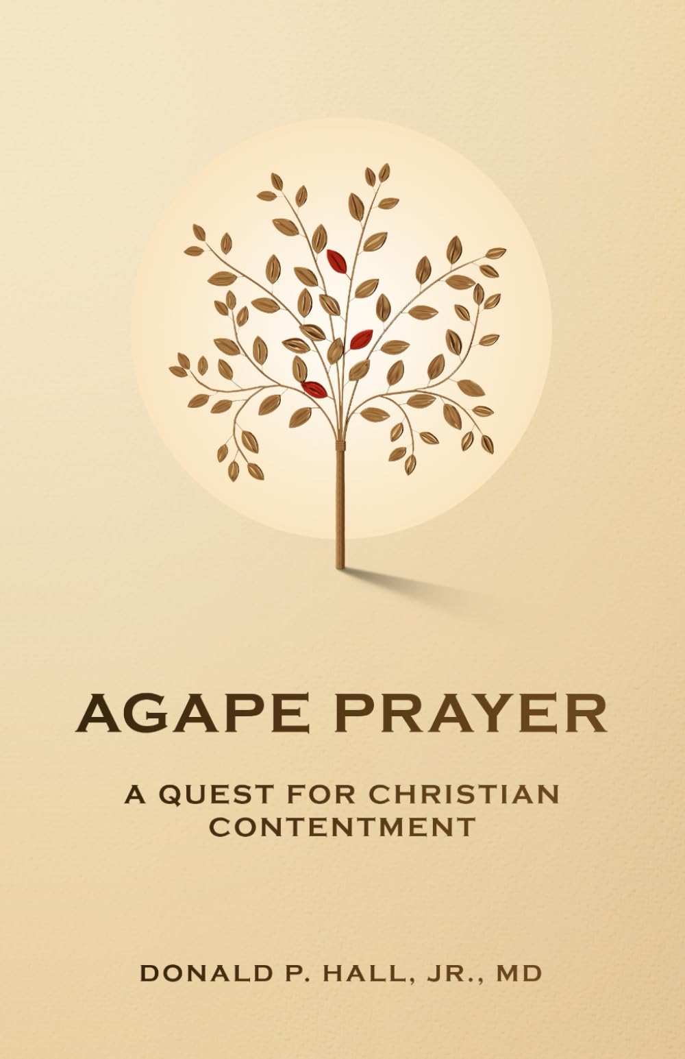Agape Prayer: A Quest for Christian Contentment