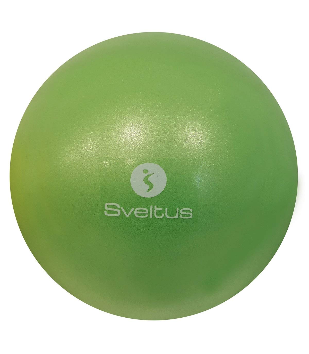 Sveltus Ballon pédagogique