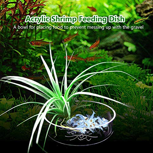 Shrimp Feeding Dish Bowl Acrylic Flower Design Aquarium Tray Water Food Smaller Reptile Worms Pets Dish Feeder Bowl - Image 6