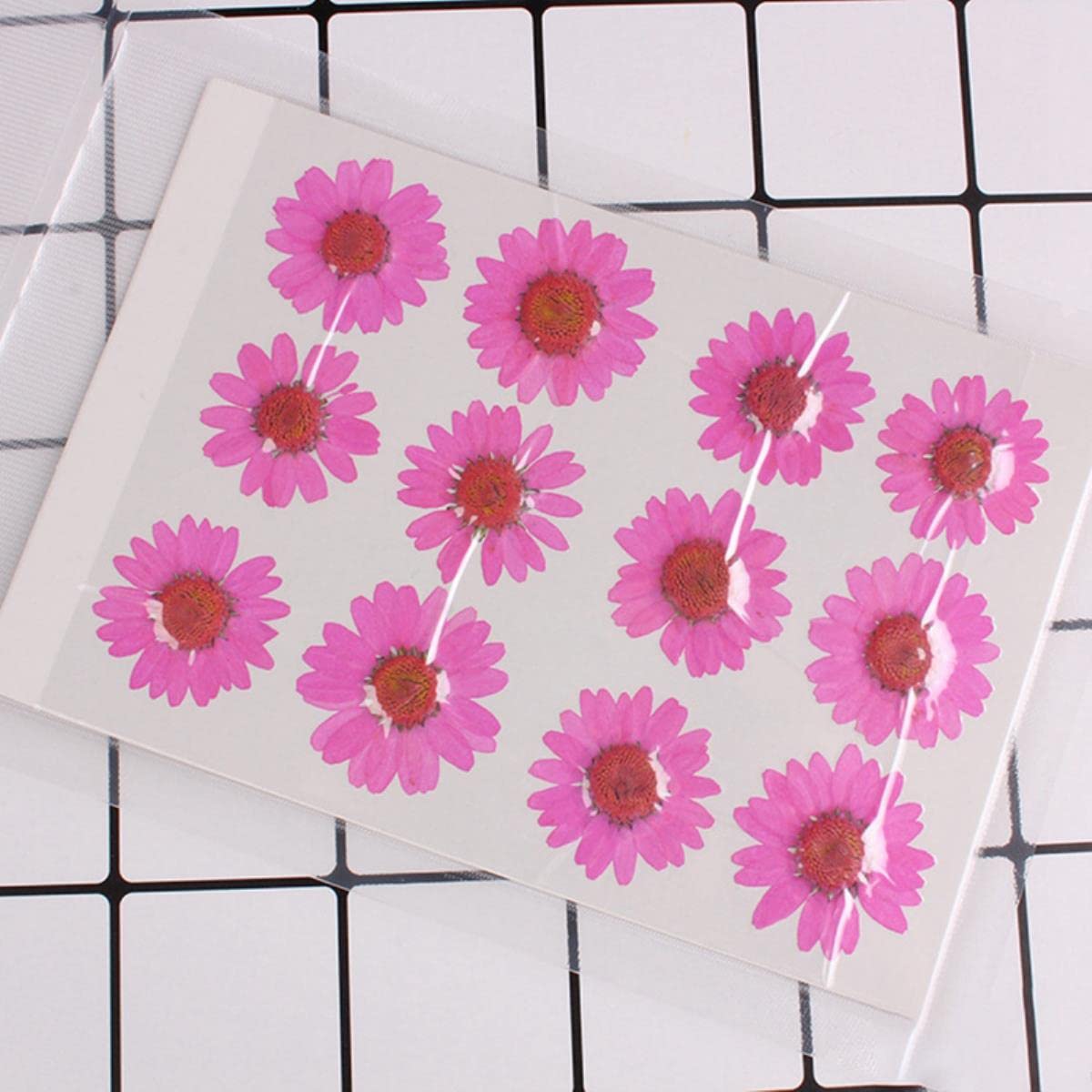 Getrocknete gepresste Blumen, 12 Stück 2–3 cm gepresste, gepresste, getrocknete Gänseblümchen-Trockenblumen for Harz-Anhänger, Halskette, Schmuckherstellung, Basteln, DIY-Zubehör, Rot(White)
