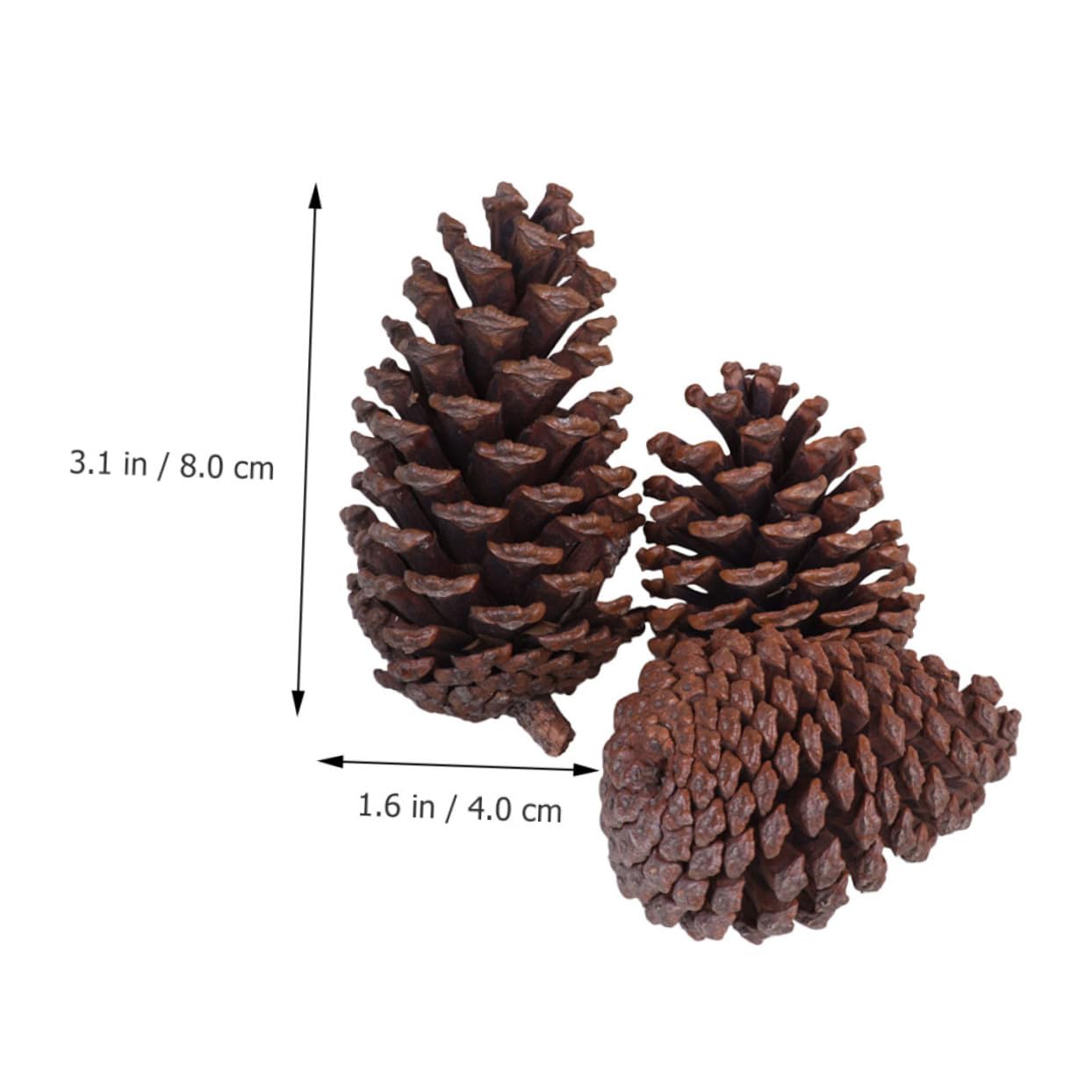 Ornamenti Decorativi in Pigne di Abete per Decorazioni Natalizie 6 Pezzi, Decorazioni Naturali per Casa, Pigne dallo Stile Campagnolo per Arredamento Esterno