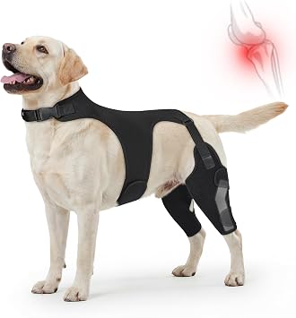 Dog Knee Brace for Torn ACL Hind Leg, Adjustable Dog Leg Brace with Metal Stabilizers Strong Joint Support to Reduce Pain from Arthritis, Ligament Injury, Hip Dysplasia, Luxating Patella XL-4