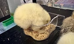 Review Image by BAM2017 BAM2017