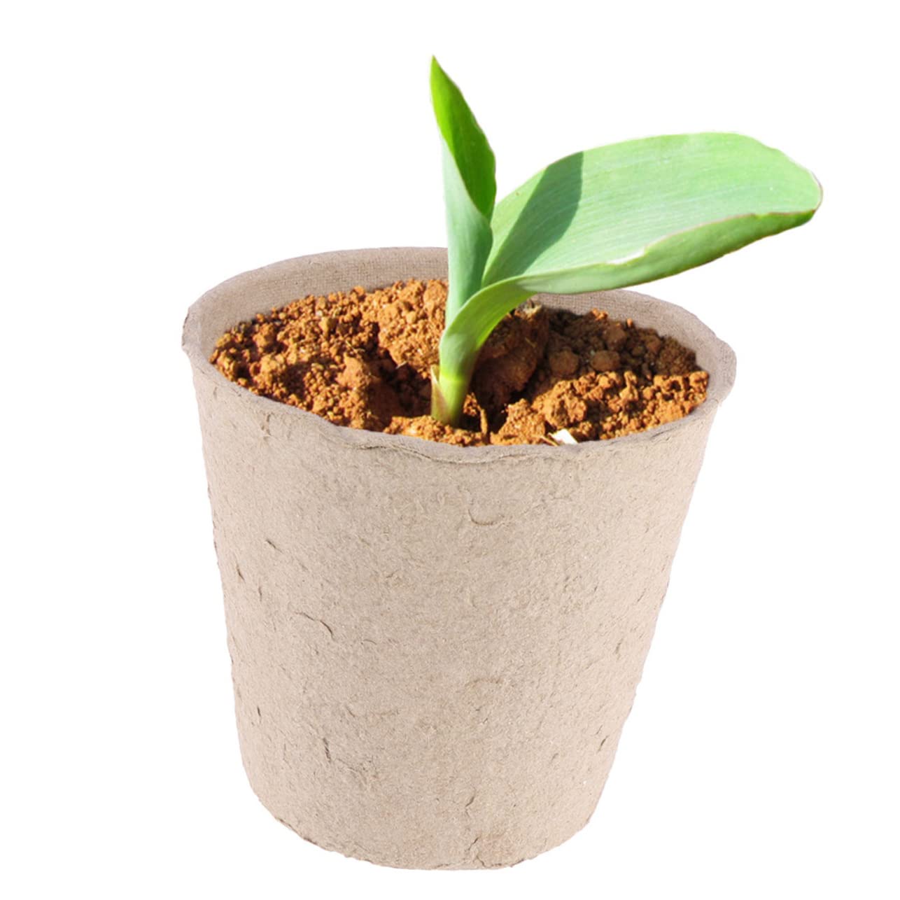 BESTonZON 100 Pezzi Vasi Biodegradabili per Semina con Etichette per Piante Vasi da per Coltivazione Sicura e Verdure per Decorazioni e Giardinaggio Sostenibile