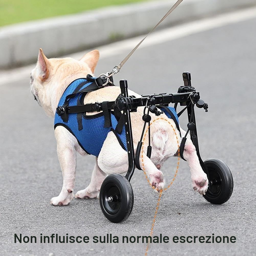 Ausili per la mobilità degli animali domestici regolabili con ruote Carrello di assistenza per la riabilitazione dei cani Veicolo di assistenza per la mobilità degli animali domestici per cani di