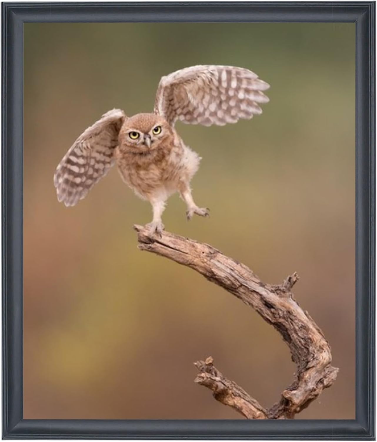19x23 inch Picture Frame Solid Wood 19x23 Photo Frame 19x23 Poster Frame Black (A23B1923)