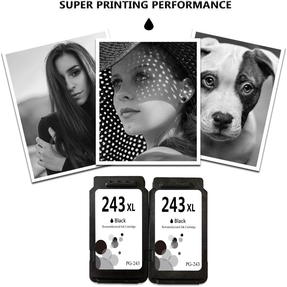 LEBOK Remanufactured PG-243 Ink Cartridge Replacement for Canon PG 243 XL Black Ink for Canon Pixma TR4520 MX492 MG2520 MG2922 TS302 and TS202 Printer 2 Black
