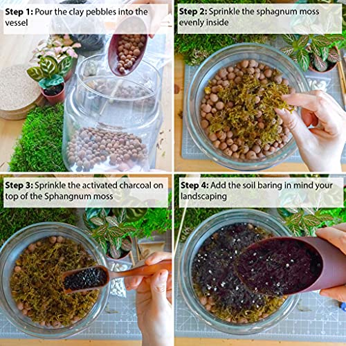 Handgemaakte Clear Glas Diy Terrarium Kit Thuis Eco Tuin Display Bloempot Indoor Centrepiece 14cm Hoogte - Afbeelding 4