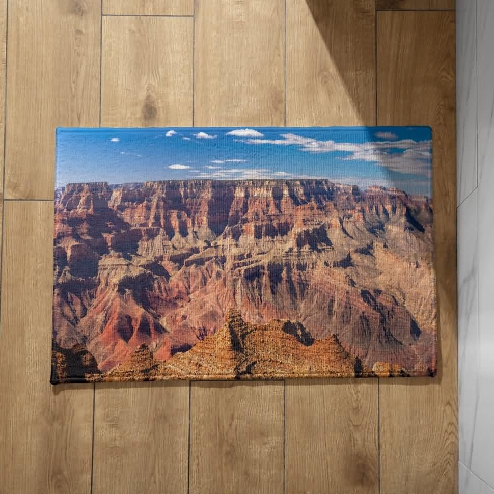 Tapis de porte d'entrée intérieur fantaisie de format 50x80cm