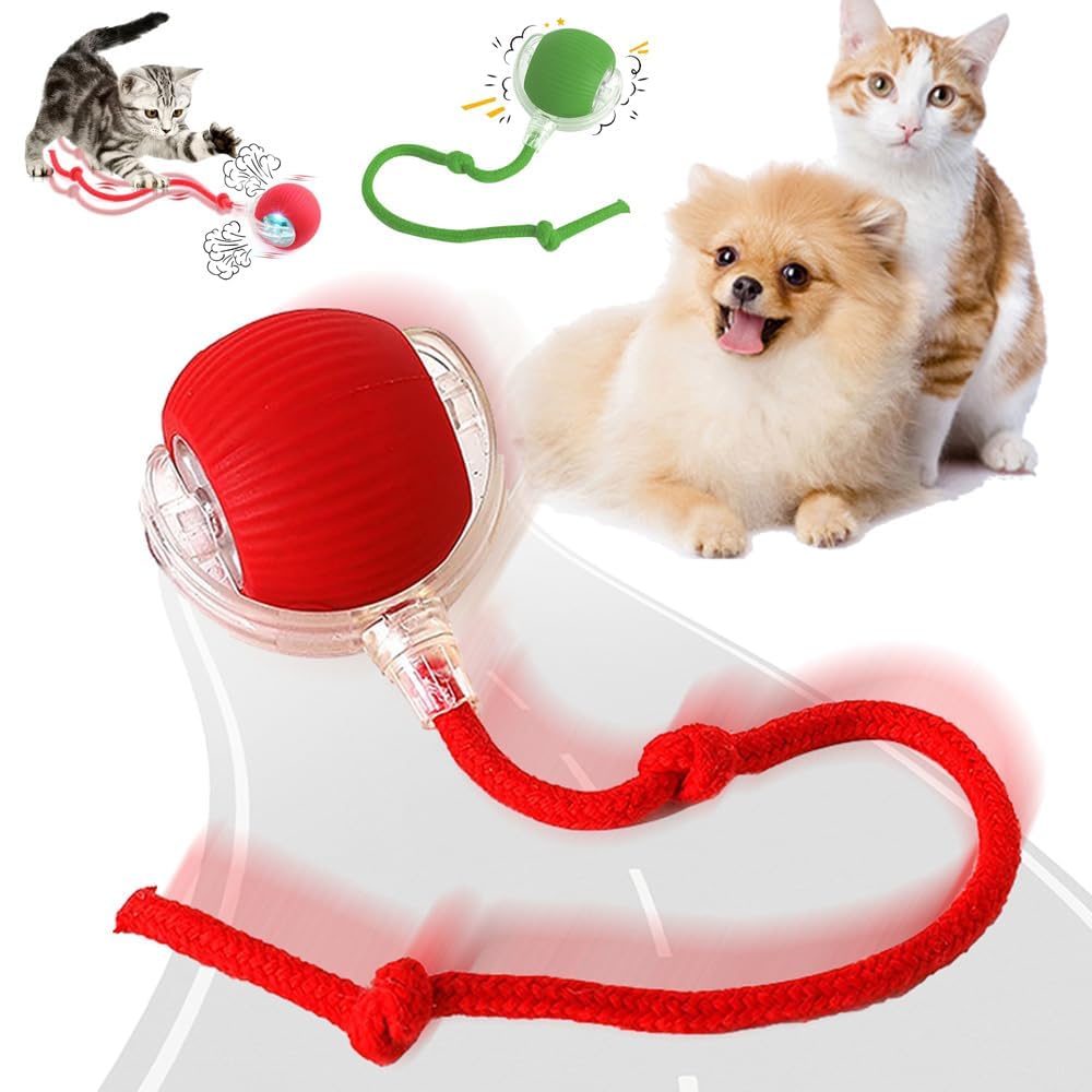 Cat Toy Ball for Indoor Cats & Kittens Interactive Rolling Play Ball with Bell for Exercise Training Hunting Activity Pet Toy (Multicolor) (Multicolor)-image-10