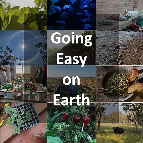 Going Easy On Earth copertina