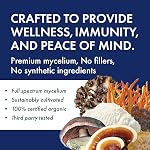 Host Defense Stamets 7 Capsules de mélange de champignons – Soutien immunitaire & Supplément antioxydant – 1,000 mg Potence, 30 Capsules végétariennes, 15 Fourniture de jour